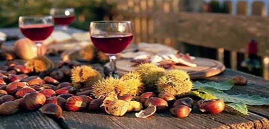 Feste e Manifestazioni San Donato di Ninea