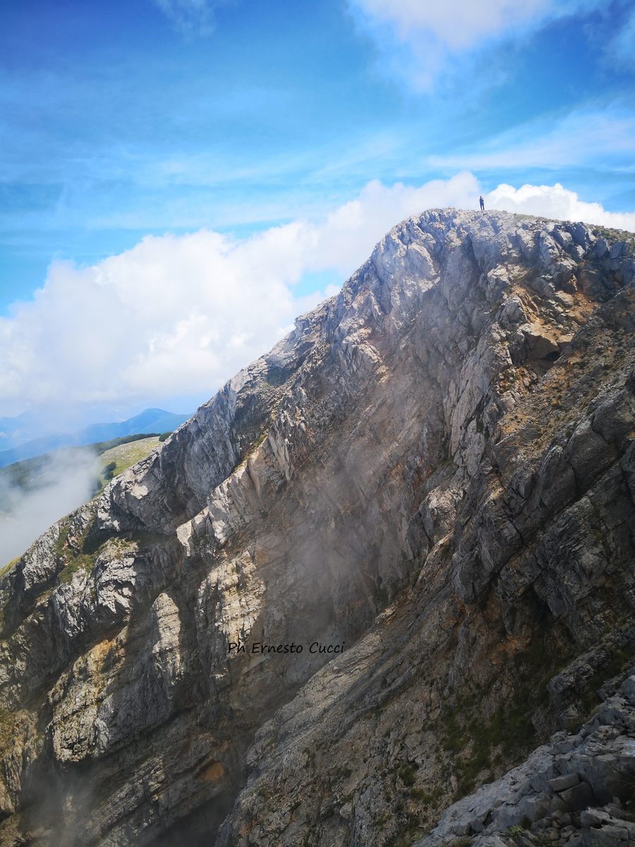 Cozzo del Pellegrino