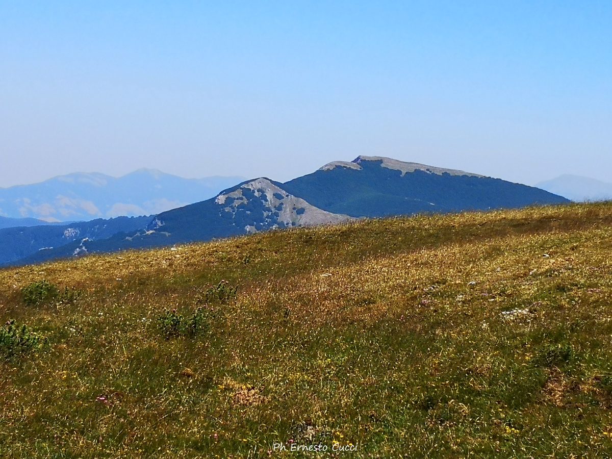 calvia-e-pellegrino-visti-dalla-mula