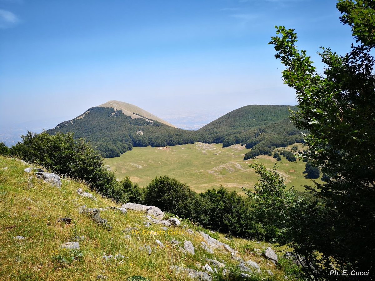 campo-di-annibale