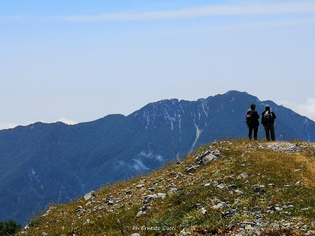 montea-vista-dalla-mula