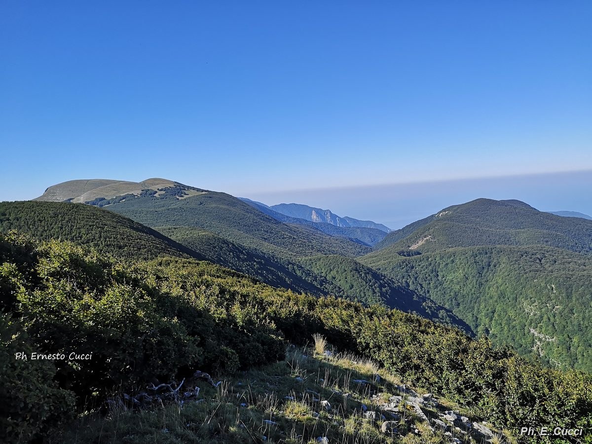 versante-nord-della-mula