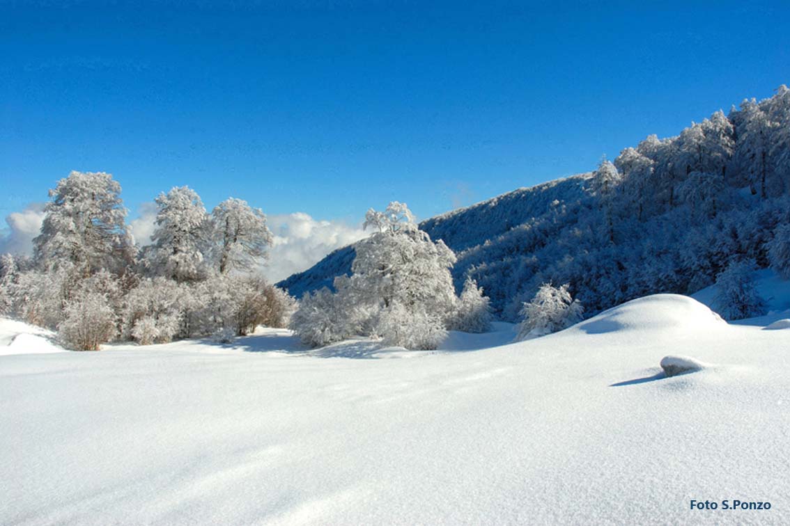 Valle Lupa