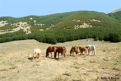 La Mula - Campo di Annibale